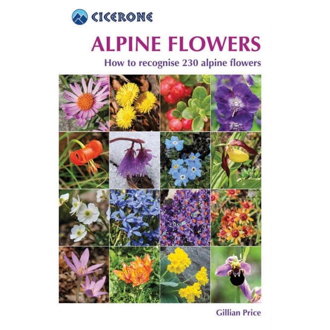 Cicerone Alpine Flowers