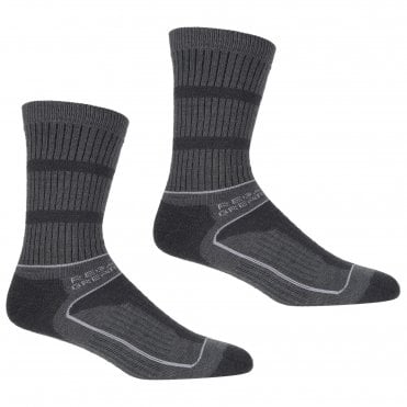 Womens Samaris 3 Season Sock 2 Pack